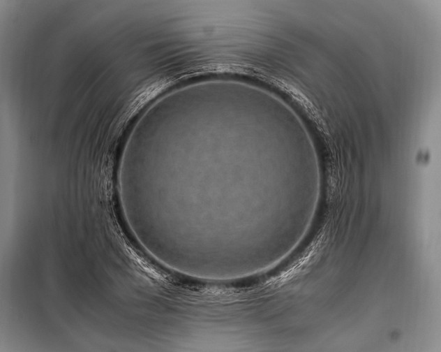 X0000101170977200806271030