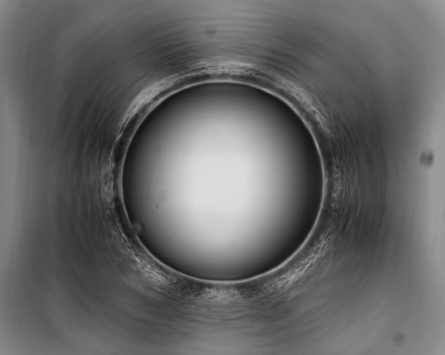 X0000101170978200806271030