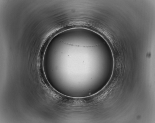 X0000101170979200806271030