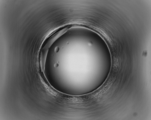 X0000101170980200806271030