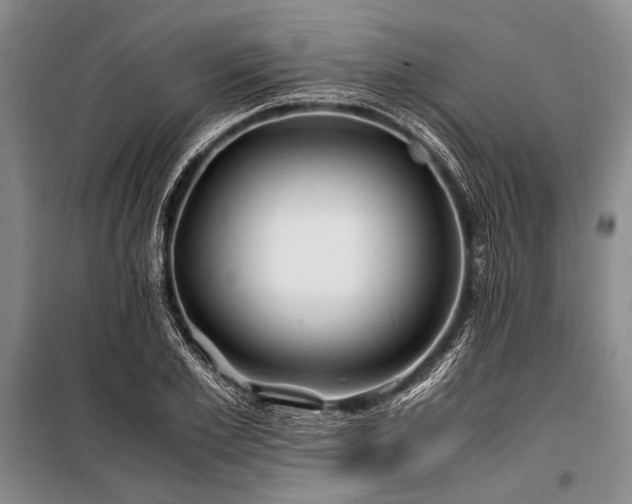 X0000101170981200806271030
