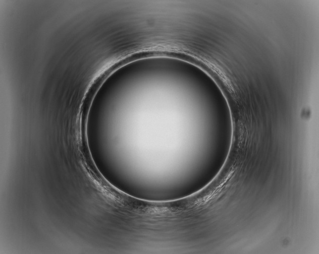 X0000101170982200806271030
