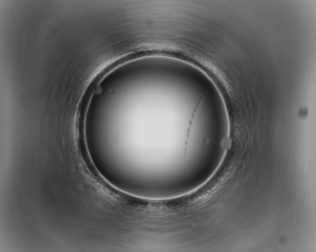 X0000101170983200806271030