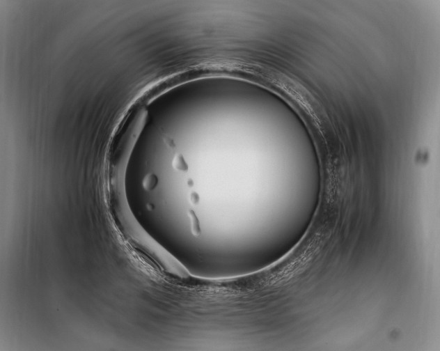 X0000101170984200806271030