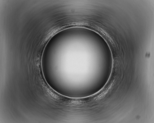 X0000101170985200806271030