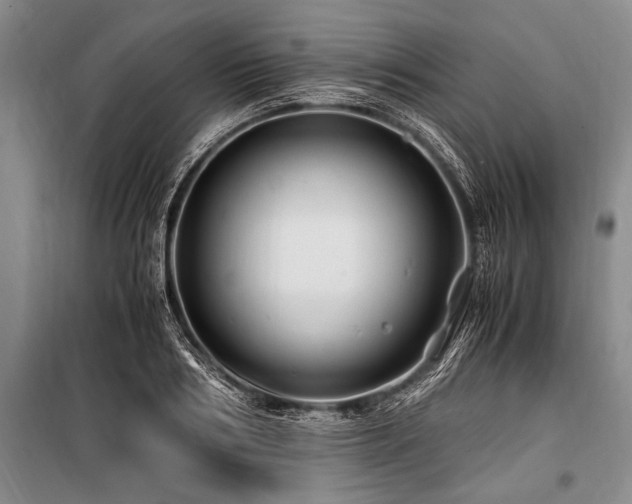 X0000101170986200806271030