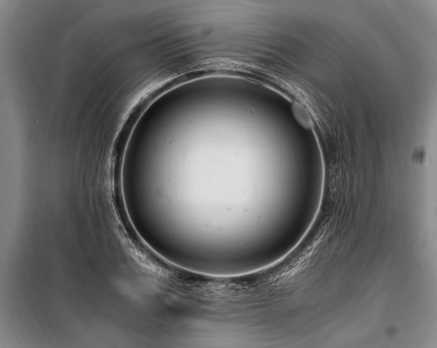 X0000101170987200806271030