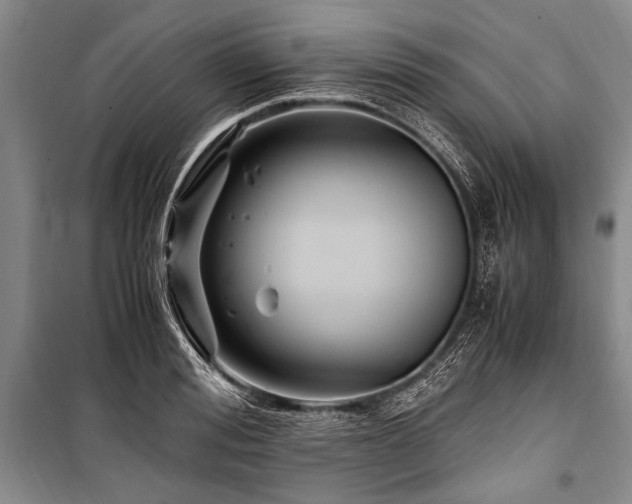 X0000101170988200806271030