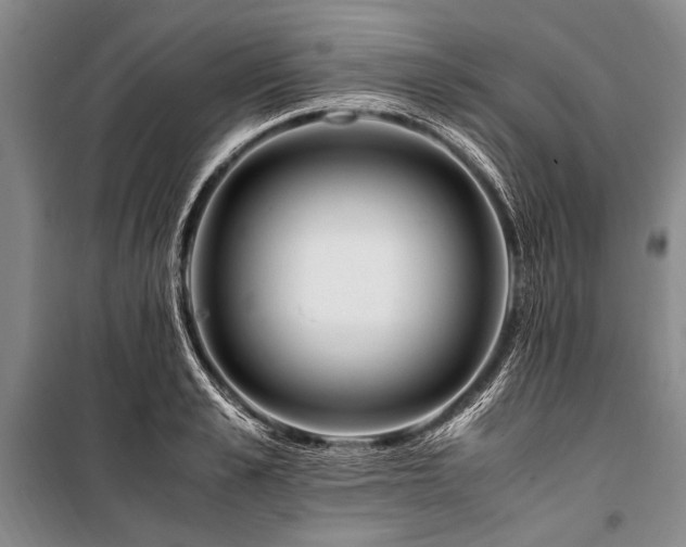 X0000101170989200806271030