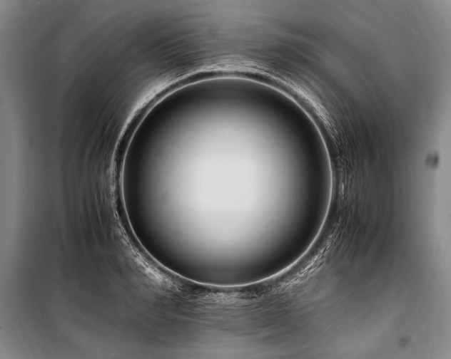X0000101170990200806271030