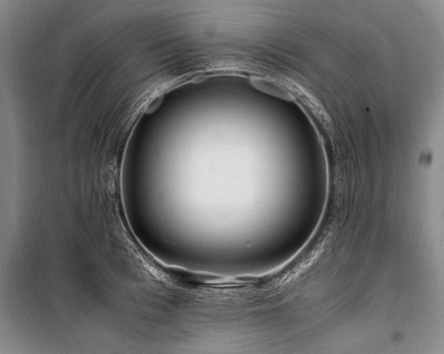 X0000101170993200806271030
