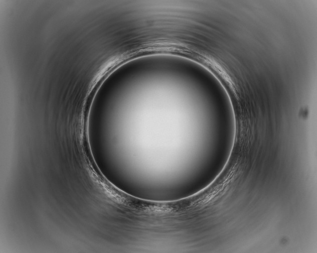 X0000101170994200806271030