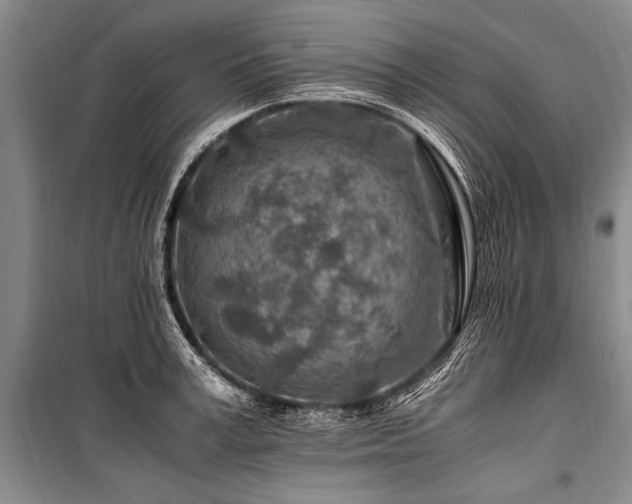 X0000101170995200806271030