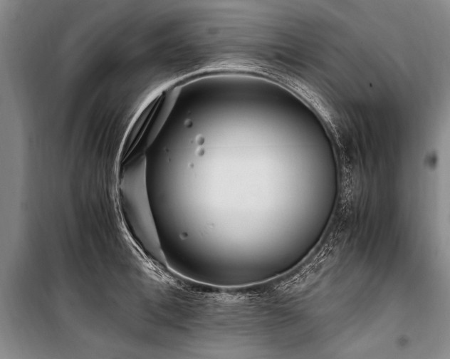 X0000101170996200806271030