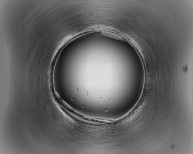 X0000101170997200806271030