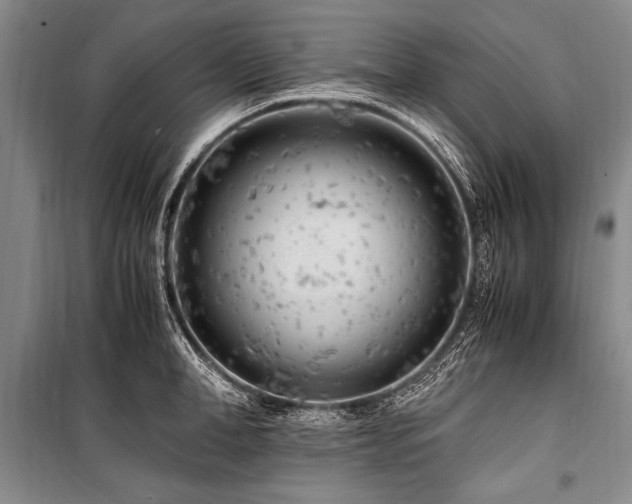 X0000101170998200806271030