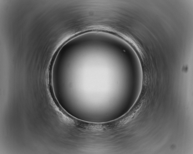 X0000101170999200806271030