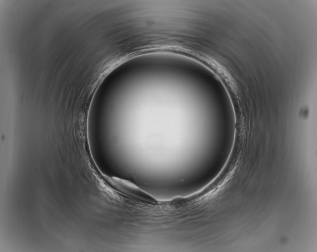 X0000101171001200806271030