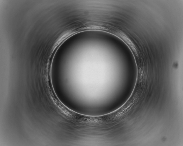 X0000101171002200806271030