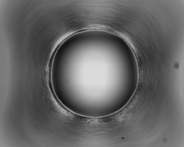 X0000101171003200806271030