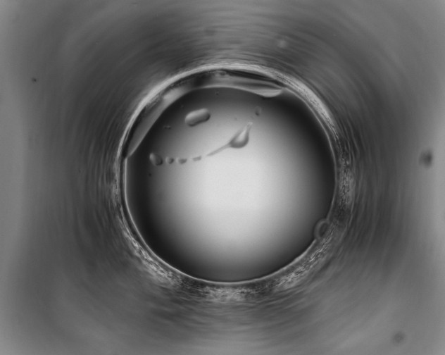 X0000101171004200806271030