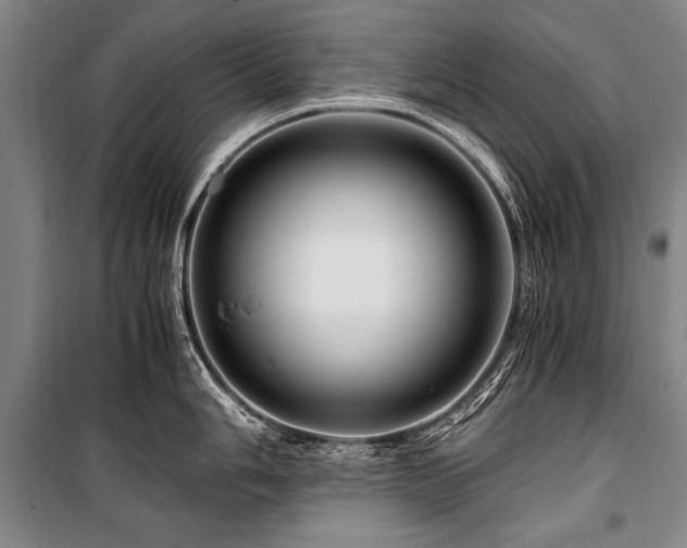 X0000101171006200806271030