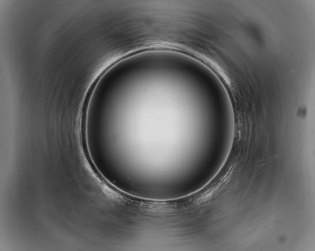 X0000101171007200806271030