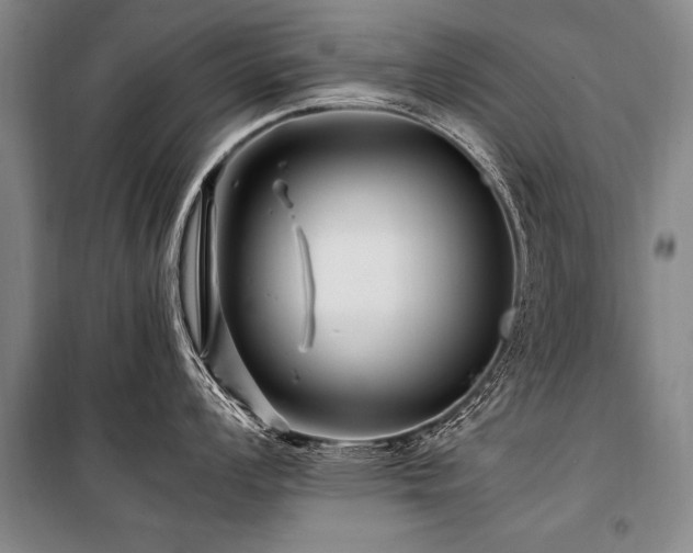 X0000101171008200806271030