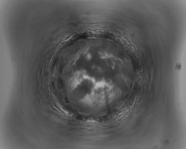 X0000101171009200806271029