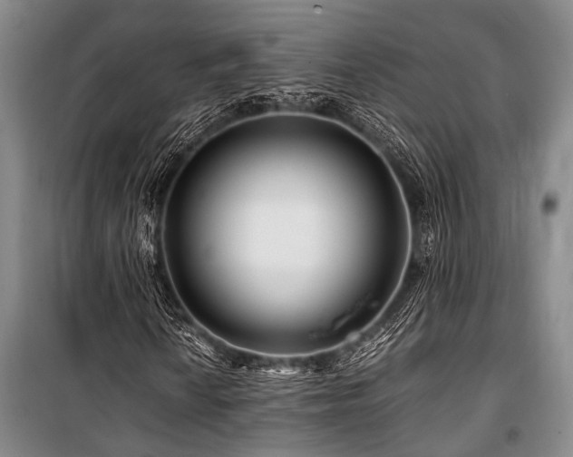 X0000101171010200806271029