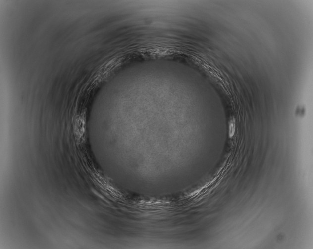 X0000101171011200806271029