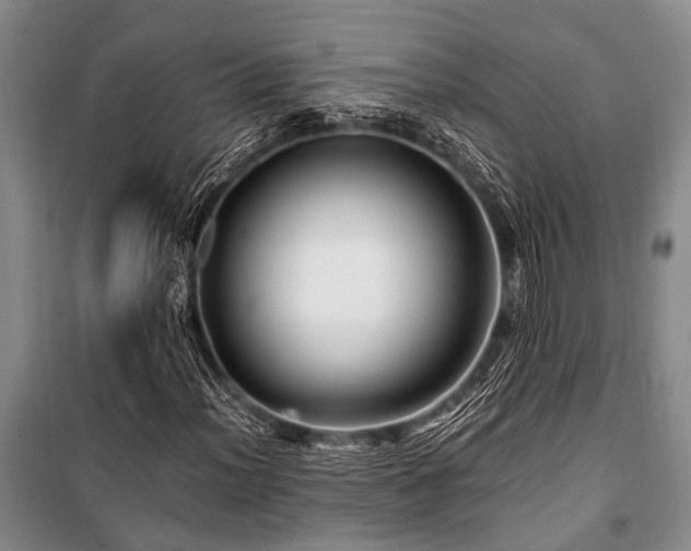 X0000101171012200806271029