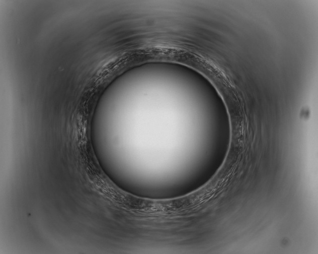 X0000101171013200806271029