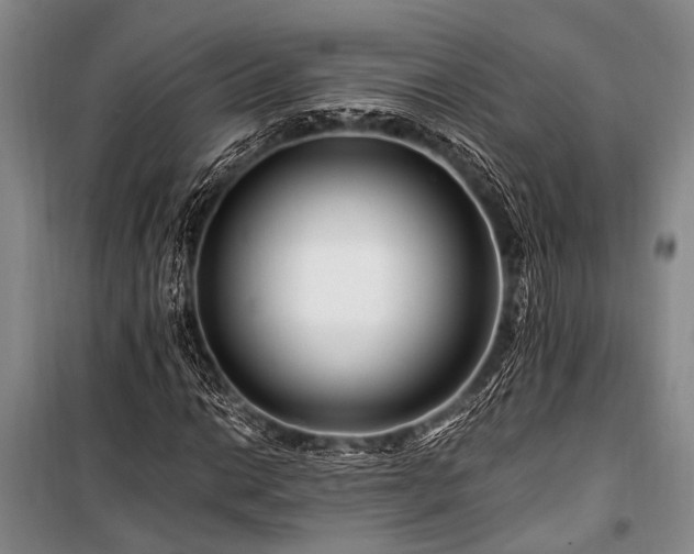 X0000101171014200806271029