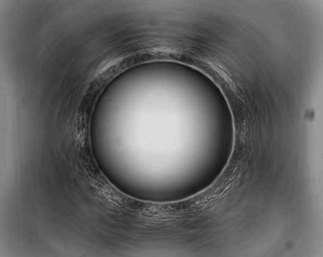 X0000101171015200806271029