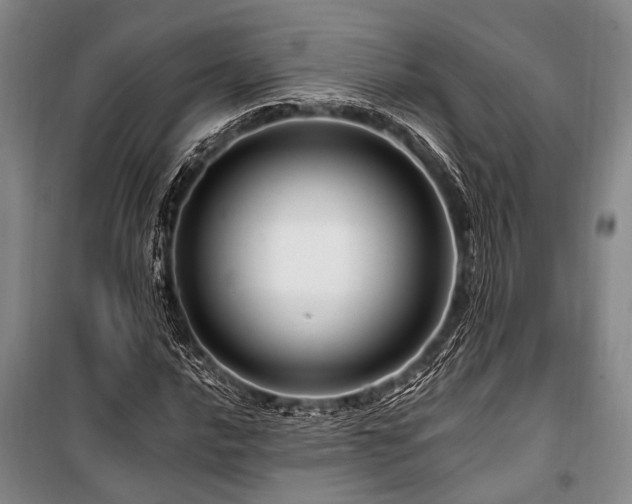 X0000101171016200806271029