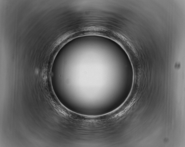 X0000101171017200806271029
