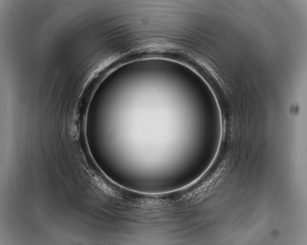 X0000101171018200806271029