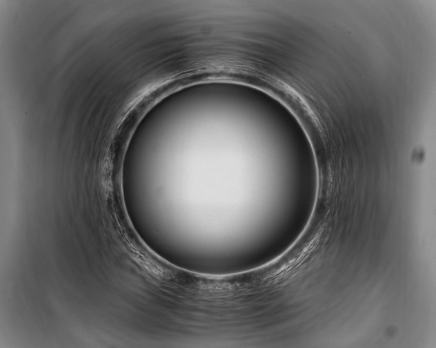 X0000101171019200806271029