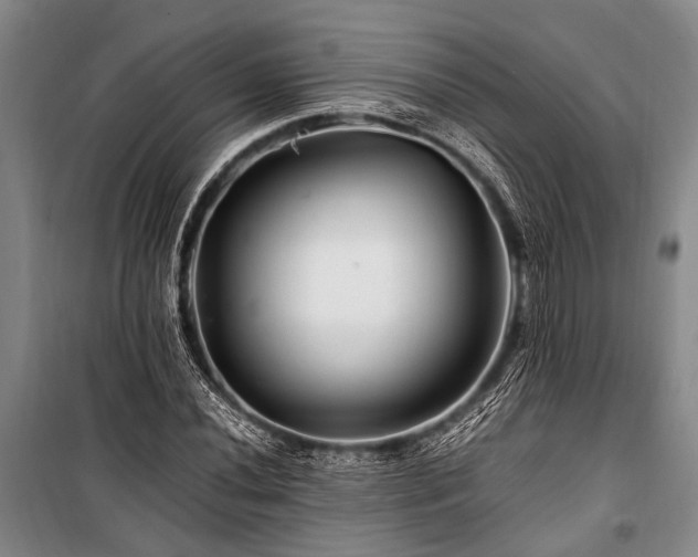 X0000101171020200806271029