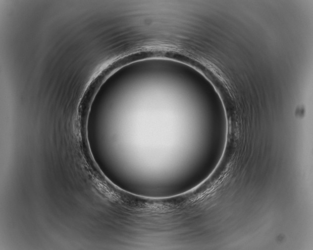 X0000101171022200806271029