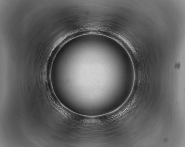 X0000101171023200806271029