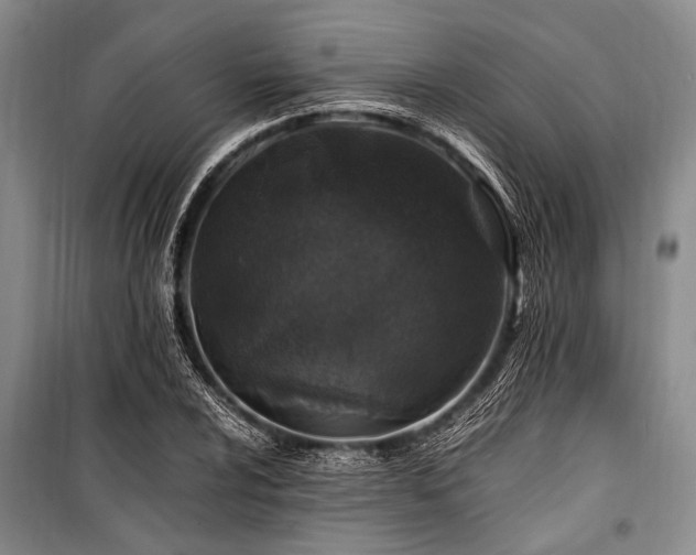 X0000101171024200806271029