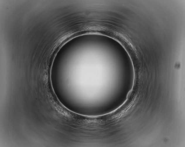 X0000101171025200806271029