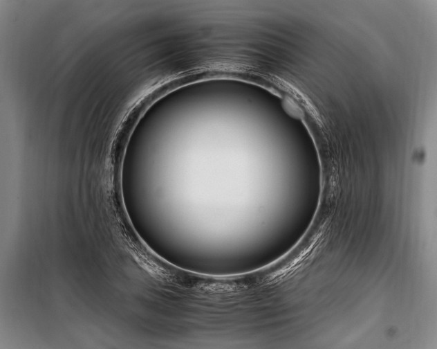 X0000101171027200806271029
