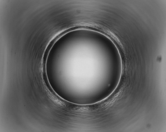X0000101171028200806271029