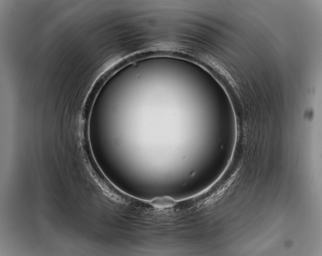 X0000101171029200806271029