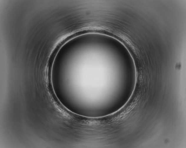 X0000101171030200806271029