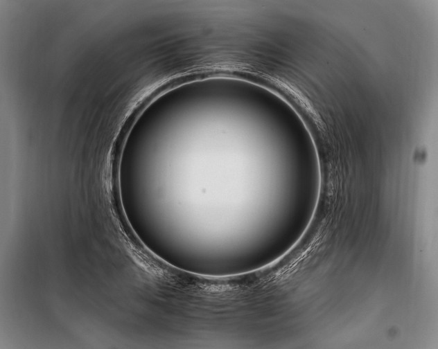 X0000101171031200806271029
