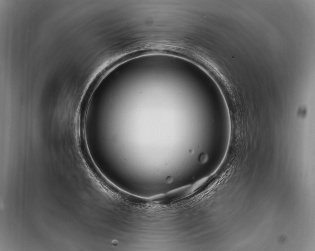 X0000101171032200806271029